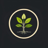 Bacaro Partners logo - Similar company to Ascent Health Group