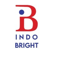 INDOBRIGHT SERVICES PVT LTD logo - Similar company to Sme Experts Private Limited