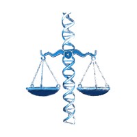 Voices in Bioethics logo - Similar company to Bioethics & Medical Humanities Initiative