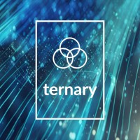 Ternary Capital Group logo - Similar company to Artificial Intelligence