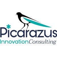 Picarazus Innovation Consulting logo - Similar company to Goodwork (Lean Best Group)