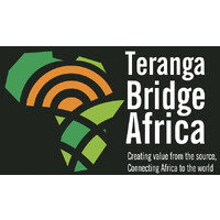 Teranga Bridge Africa logo - Similar company to Serra Process
