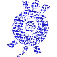 Purple Turtle Group (Broadcast | SNG | Communications | Media | Invest | Consult )
