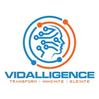 vidalligence - transform | innovate | elevate logo - Similar company to Digital Festival