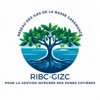 Réseau des Iles de Basse Casamance - Senegal logo - Similar company to Casamasanté