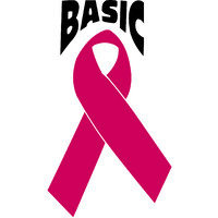 BASIC NWFL, Inc. logo - Similar company to Compass Initiative