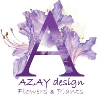 AZAY DESIGN logo - Similar company to Nett Front
