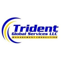 Trident Global Services, LLC. logo - Similar company to Blnelson Group Llc