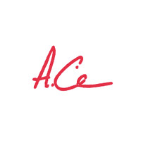 ACWebDev logo - Similar company to Parsons Designs