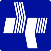 Damsun Rayaneh Co. logo - Similar company to Ayandeh Negaran Co. (Ayco)
