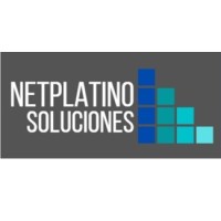 Netplatino SAS logo - Similar company to Seacom Ltda