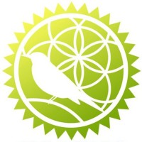 Project Ava Org