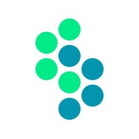 Steerio logo - Similar company to Talaia Project Portfolio Management Software