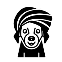 Petixa India logo - Similar company to Rangmanchstudio