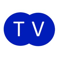 Technology Vision sarl logo - Similar company to *.Technology Sarl