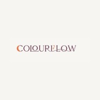 Colour Flow Active logo - Similar company to Noir Velocity