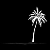 Pacific Realty logo - Similar company to Webflix
