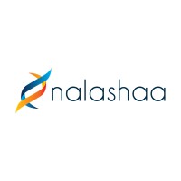 Nalashaa Solutions logo - Similar company to Malasha Technologies Inc.