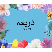 Zariya logo - Similar company to Zariya
