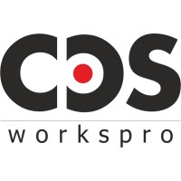CDS WORKS PRO logo - Similar company to Vinotham Architects