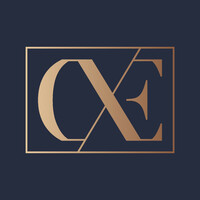 DXE LTD logo - Similar company to Everyhero