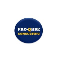 PRO-QHSE consulting logo - Similar company to Sam Qhse