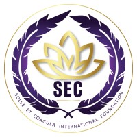 Solve Et Coagula International Foundation logo - Similar company to Edufront Technologies Pvt. Ltd