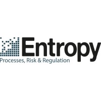 Entropy Processes, Risk & Regulation logo - Similar company to Amirror Group Organizational Development Ltd.