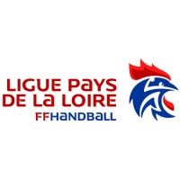 LIGUE DE HANDBALL DES PAYS DE LA LOIRE logo - Similar company to Pm2S - Partner Maintenance Services & Solutions