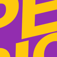 Perlon Records logo - Similar company to Meoko Ltd