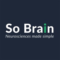 So Brain logo - Similar company to Association Invia