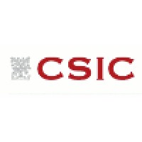 Instituto Nacional Del Carbón - Csic