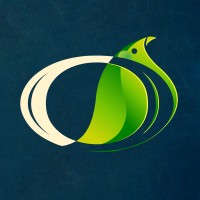 VIREO ANIMATION PVT. LTD. logo - Similar company to Webmaak