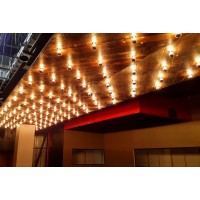 Dunham Electric, Inc. logo - Similar company to Caruso Electrical Contracting