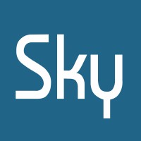SkyDreamSoft logo - Similar company to Anzar
