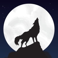 Les disparus de la Montagne Noire logo - Similar company to Soloboost🧨