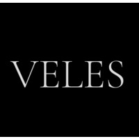 VELES CONSULTING logo - Similar company to Veles Consulting Ltd