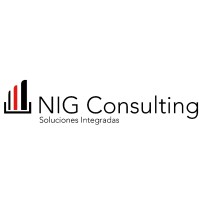 NIG Consulting logo - Similar company to Upcasa Technology Services
