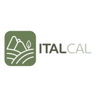 ITALCAL Minería Agroindustria logo - Similar company to Solutions365 Mineria