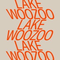 Lake Woozoo logo - Similar company to Weird Jungle