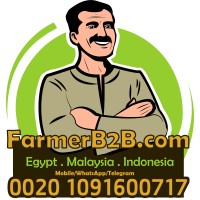 FarmerB2B.com logo - Similar company to Ag Villodre - Antogar