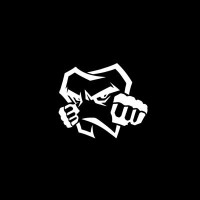 PrimePunch logo - Similar company to Legacy Ix