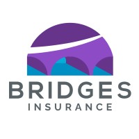Bridges Insurance Brokers logo - Similar company to Ermg Ltd