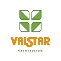 Plantenkwekerij Valstar VOF logo - Similar company to Linflowers Chrysanten