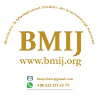 Business & Management Studies: An International Journal logo - Similar company to Armarius Software - Data Loss Prevention And User Behavior Monitoring