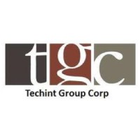 Techint Group Corp.