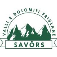 Consorzio delle Valli e delle Dolomiti Friulane logo - Similar company to Tenuta Stella Collio
