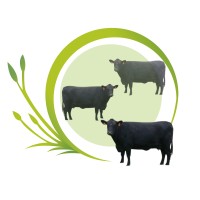Halal Pastures Farm logo - Similar company to Boxed Halal