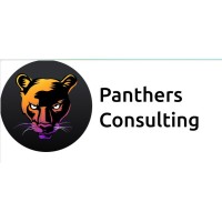 Panthers Consulting LTD logo - Similar company to Docuease