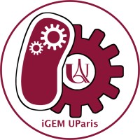 iGEM Université de Paris logo - Similar company to Junior Bios